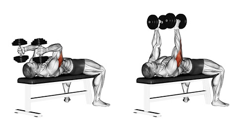 Dumbbell Skull Crushers