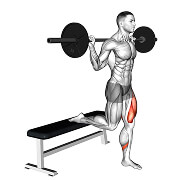 00991201-Barbell-Single-Leg-Split-Squat_Hips_1_thumbnail_@3x.jpg