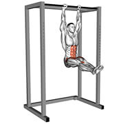 04751201-Hanging-Straight-Leg-Raise_Hips-FIX_thumbnail_@3x.jpg