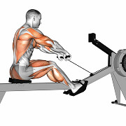 11611201-Rowing-(with-rowing-machine)_Cardio_thumbnail_@3x.jpg