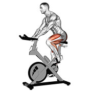 21381201-Stationary-Bike-Run-(version-3)-(male)_Cardio_thumbnail_@3x.jpg