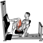 26111201-Lever-Horizontal-One-leg-Press_Hips_thumbnail_@3x.jpg