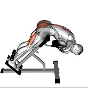 50351201-Weighted-Hyperextension_Hips_thumbnail_@3x.jpg