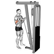 59221201-Cable-SZ-bar-Close-Grip-Curl_Upper-Arms_thumbnail_@3x.jpg