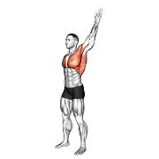98311201-Standing-Alternating-Arms-Swing-(male)_Stretching_thumbnail_@3x.jpg
